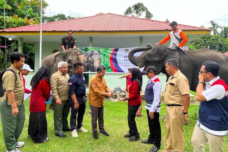 PT Hutama Karya (Persero) berkolaborasi dengan Balai Konservasi
Sumber Daya Alam (BKSDA) Riau dan Rimba Satwa Foundation (RSF) dalam menyiapkan 2
unit Global Positioning System (GPS Collar) senilai Rp 451,6 juta untuk memantau pergerakan gajah di sekitar Jalan Tol Pekanbaru-Dumai (Permai).