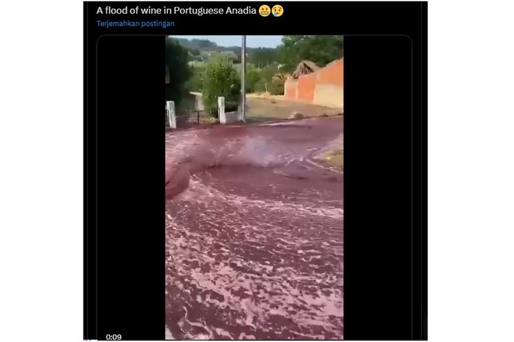 Video banjir wine di Portugal