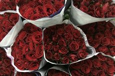 Belanja Bunga untuk Valentine di Rawa Belong, Rp 100.000 Dapat Apa Saja?