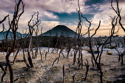 Wisata Gunung Papandayan Garut Kembali Buka, Ini Syarat Berkunjung