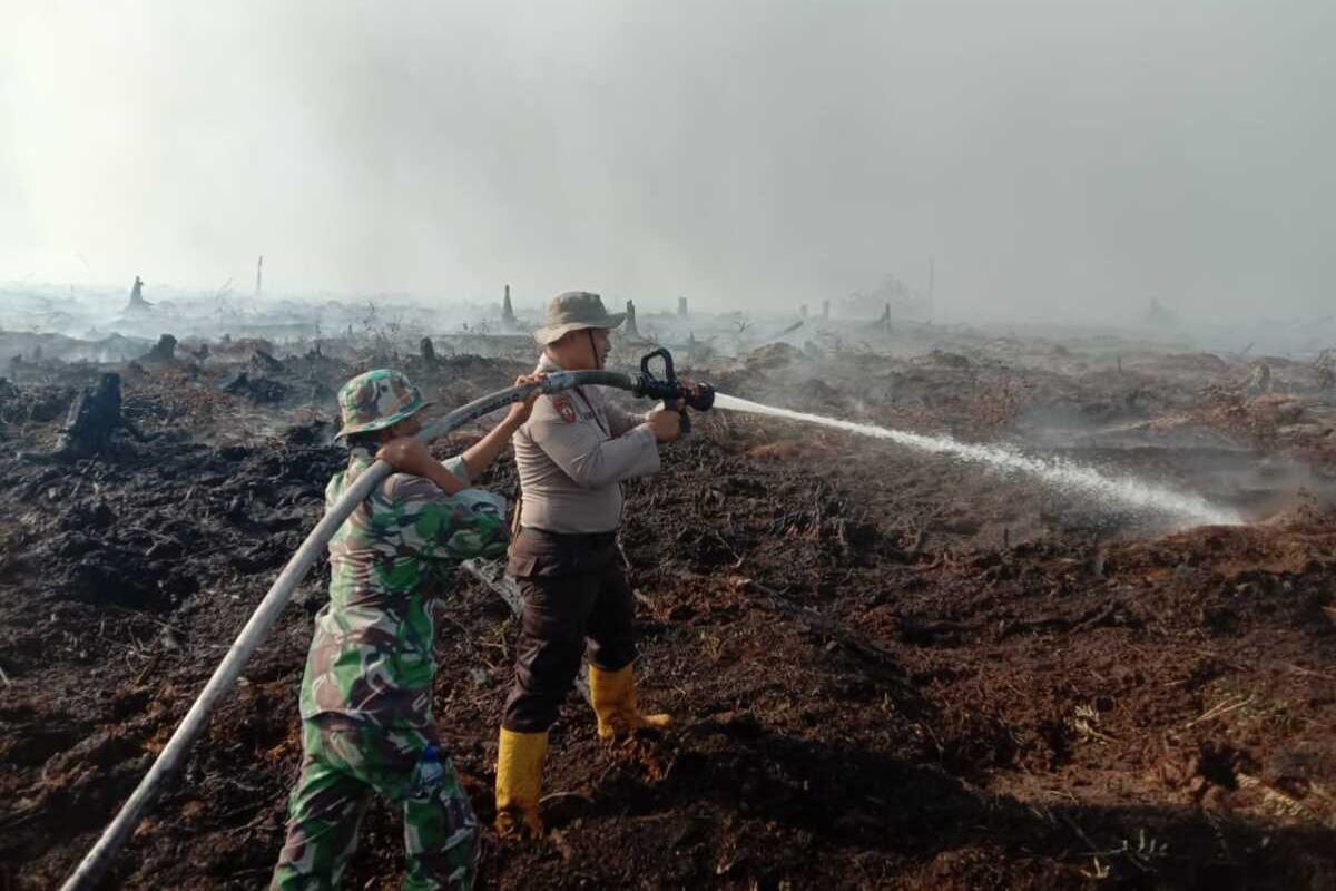 Petugas gabungan memadamkan titik api karhutla yang terjadi di perbatasan Desa Merbau, Kecamatan Bunut dengan Desa Pangkalan Terap, Kecamatan Teluk Meranti, Kabupaten Pelalawan, Riau, Minggu (28/6/2020). 