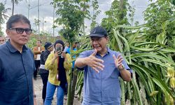 Petani di Banyuwangi Didorong untuk Hilirisasi Produk Pertanian