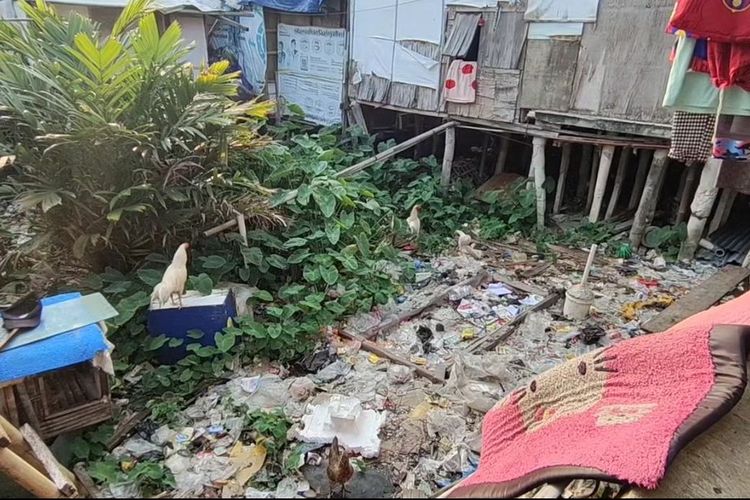 Warga Kapuk Muara mengaku sudah terbiasa tinggal berdampingan dengan sampah yang berada di kolong rumah panggungnya. Sampah-sampah tersebut terpaksa mereka buang karena tidak adanya tempat penampungan sementara (TPS).