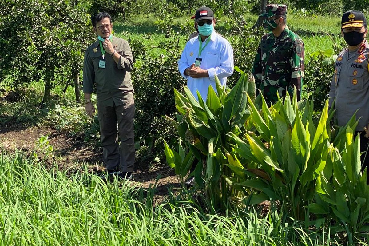 Menteri Pertanian (Mentan) Syahrul Yasin Limpo (SYL) pun meninjau dua lokasi optimasi lahan (opla) rawa di Desa Karang Indah, Kecamatan Mandastana, Kabupaten Barito Kuala dan Desa Manarap Baru, Kecamatan Kertak Hanyak, Kabupaten Banjar.