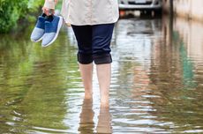 Leptospirosis di Jatim Capai 249 Kasus, 9 Meninggal, Ini Gejala dan Persebarannya