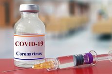Harga Vaksin Corona Diperkirakan Rp 75.000 Per Orang, Kapan Siap?