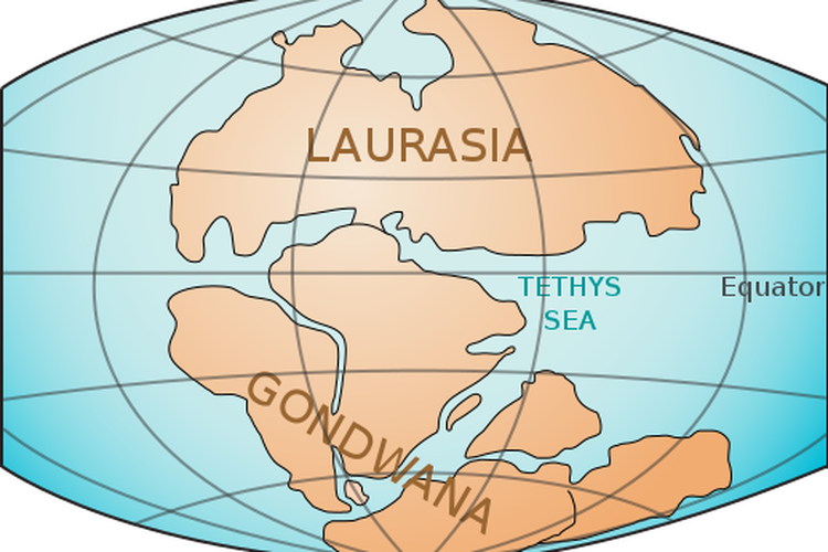 Superkontinen Laurasia dan Gondwana