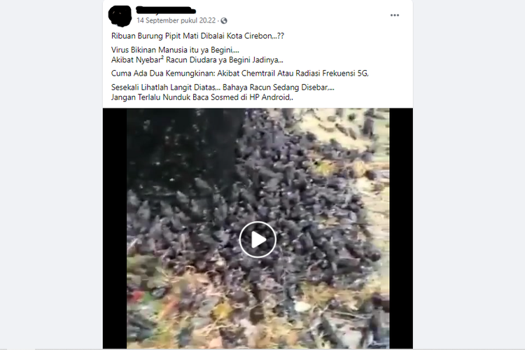 Tangkapan layar informasi yang menyebut ribuan burung pipit mati di Cirebon karena radiasi frekuensi 5G.