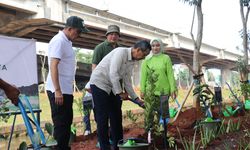 Distamhut DKI Jakarta Terus Menanam Pohon di RTH dan Jalur Hijau
