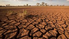 BMKG Prediksi Puncak Kemarau Jawa Timur Agustus 2026, Ini Wilayah yang Terdampak