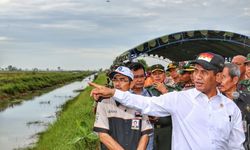 Tingkatkan Ketahanan Pangan, Kementan Garap Lahan Rawa Lebak