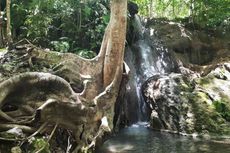 Pentingnya Konservasi Kawasan Air Terjun Maelang, Jember