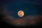 Supermoon Terjadi Dua Kali di Agustus, Apa Efeknya pada Bumi?