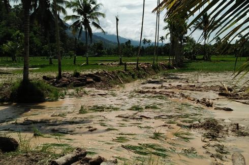 Banjir dan Longsor Landa Lebong Bengkulu, Pemkab Minta Bantuan Pembangunan Bendungan