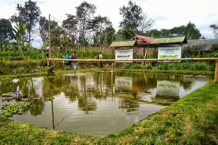 Pembangunan embung di sentra produksi pertanian efektif meningkatkan produktivitas petani