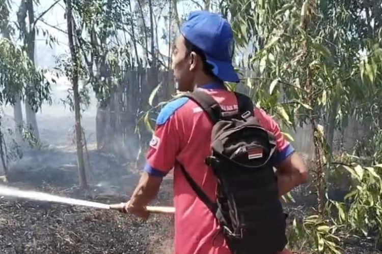 Kebakaran Ilalang Hampir Menjalar ke SMPN 2 Asembagus, Asap Masuk Ruang Kelas