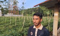 Panas Bumi Kamojang Sokong Dapur Petani
