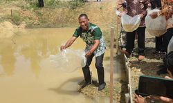 Upaya Pemkab Bulungan Tingkatkan Produktivitas Perikanan, dari Saluran Bantuan hingga Pemetaan Potensi