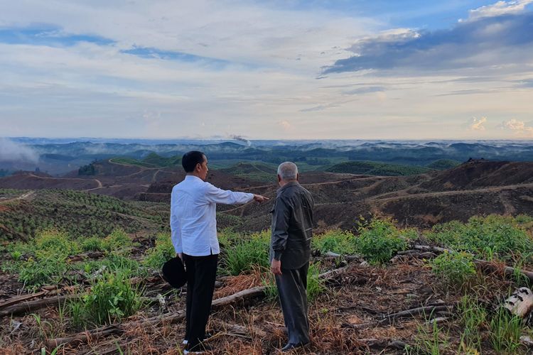 Presiden Joko Widodo meninjau lokasi kluster pemerintahan di calon ibu kota baru di Kecamatan Sepaku, Penajam Passer Utara, Kalimantan Timur, Selasa (17/12/2019).