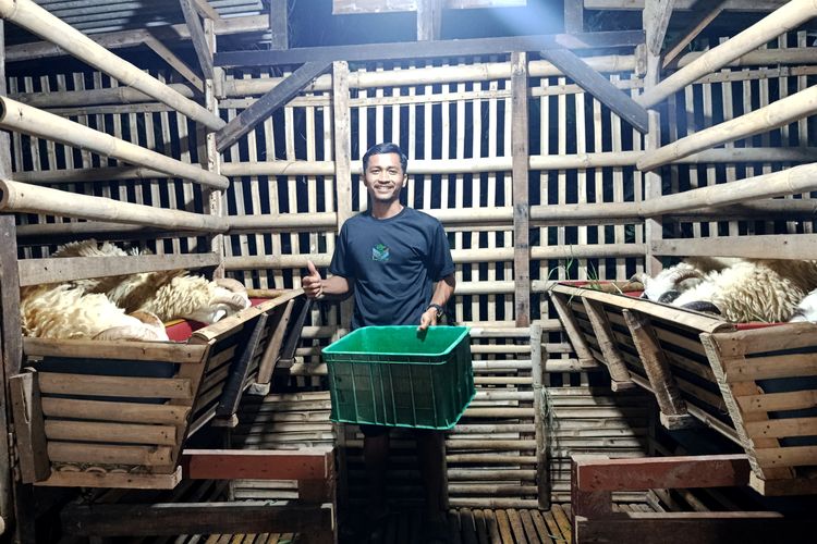 Kisah Pemuda Bekasi Beternak Kambing demi Biaya Kerja ke Jepang