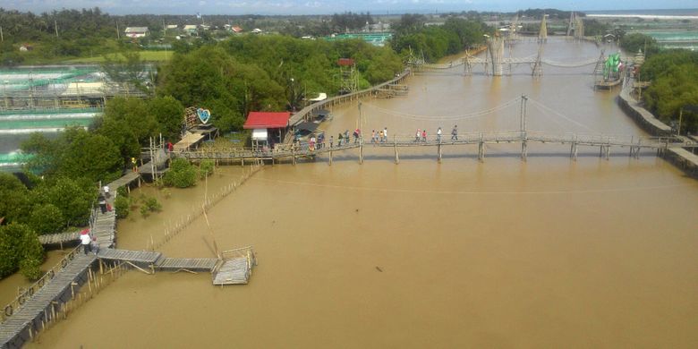 Nikmatilah panorama dari ketinggian menara di Mangrove Jembatan Api-api, Kulon Progo, DI Yogyakarta. Pengunjung bisa melihat pantai selatan dari kejauhan, tambak-tambak beralaskan terpal, sungai yang panjang dan lebar. 