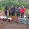 7 Satwa Dilepasliarkan di TN Gunung Ciremai, Ada Landak Jawa, Musang Pandan, hingga Kucing Hutan