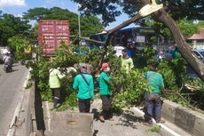 Ditabrak Truk, Pohon Tumbang Menutup Jalan di Daan Mogot