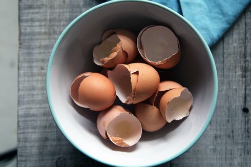 Jangan Buang Cangkang Telur, Manfaatkan untuk Berkebun