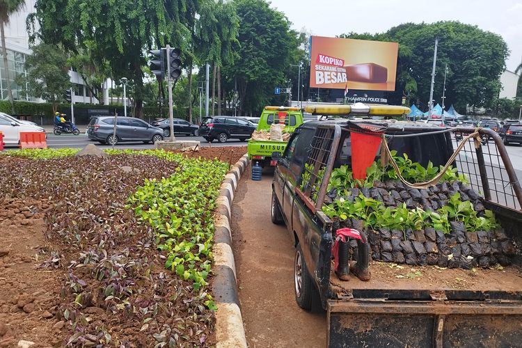 Foto : Taman Bundaran HI Kembali Hijau, Tanaman Yang Rusak Diganti Baru