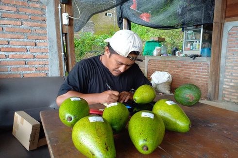Manfaatkan Teknologi, Bisnis Hortikultura Pemuda Asal Semarang Tembus Pasar Asing