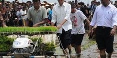 Kinerja Sektor Pertanian Terus Meningkat Meski Anggaran Turun