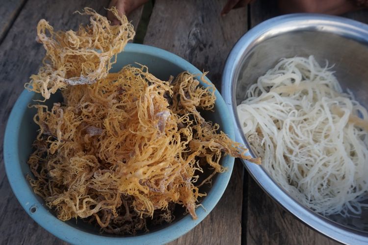 Rumput laut basah dan rumput laut kering dari Teluk Sarawandori Kepulauan Yapen Papua