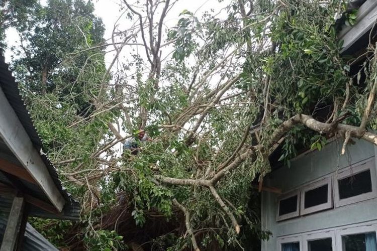 Sebuah pohon tumbang menimpa bangunan RSUD Dr Hendrikus Fernandes Larantuka di Kabupaten Flores Timur, NTT, Senin (2/1/2023).