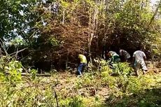 Setelah Ada Serangan, Warga Gunungkidul Buru Ular Lainnya