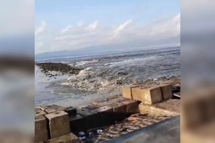 Gempa NTT Picu Peringatan Tsunami, Air Laut Naik dan Bikin Warga Mengungsi di Pesisir Buton