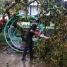 Hujan Deras Berjam-jam, Pohon Tumbang di Beberapa Lokasi di Salatiga