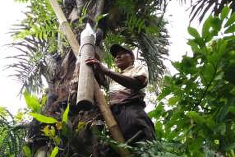 Warga Desa Hurun, Kecamatan Padang Cermin, Kabupaten Pesawaran, Provinsi Lampung, mengelola tanaman aren di kawasan Register 19 Gunung Betung.