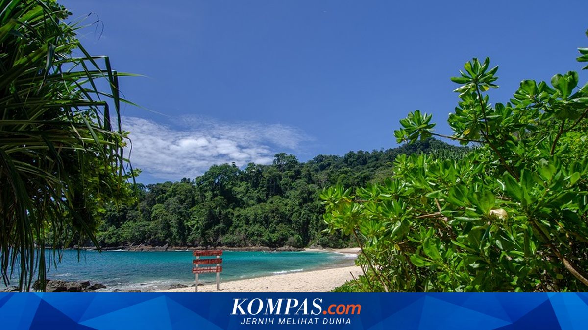 Temukan 7 wisata alam hidden gem di Banyuwangi yang masih sepi dan asri, mulai dari Teluk Hijau hingga De Djawatan. Cek lokasi lengkapnya di sini!