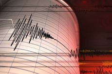 Gempa Bumi M 6,5 Guncang Afghanistan dan Pakistan, Sejumlah Bangunan Roboh, Getaran Terasa hingga India