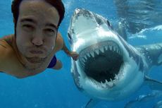Foto Selfie Lebih Bahaya Ketimbang Serangan Hiu