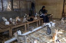 Kejagung Segera Limpahkan Berkas Nadiem ke Pengadilan Tipikor