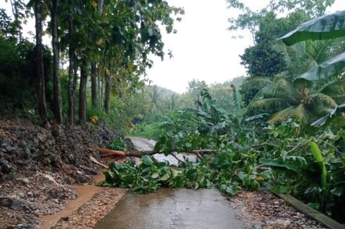 Angin Kencang di Wonogiri, Seorang Nenek Tewas Tertimpa Dahan Pohon Teraliri Listrik