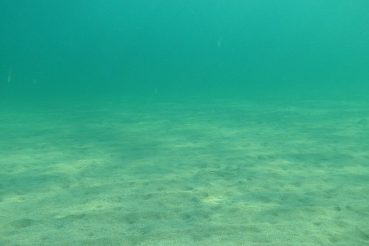 Presiden AS, Donald Trump percepat pemberian izin eksplorasi mineral penting di laut dalam. Keputusan ini dikhawatirkan merusak ekosistem. 