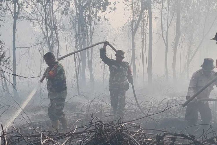Kebakaran Lahan Gambut Masih Besar di Kampar Riau, Petugas Kehabisan Air