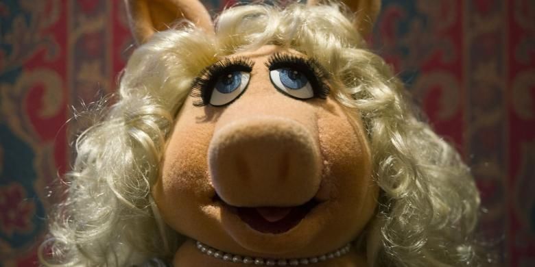 Miss Piggy menjadi salah satu dari 20 boneka seri TV The Muppet Show, Sesame Street, dan Fraggle Rock yang masuk The Smithsonian National American History Museum di Washington DC, 24 September 2013 waktu setempat.