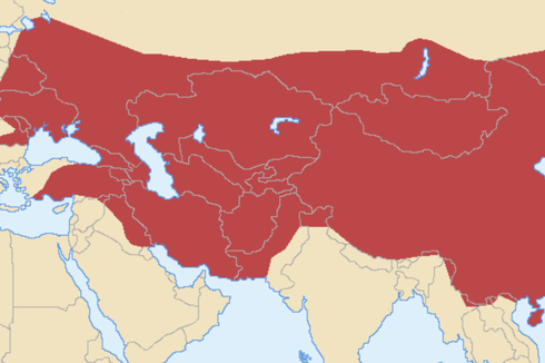 Fakta Genghis Khan, Sang Penguasa Mongol