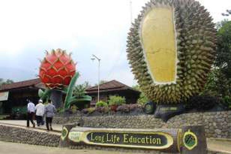 Tugu durian yang menyambut pengunjung di Kebun Durian Warso.