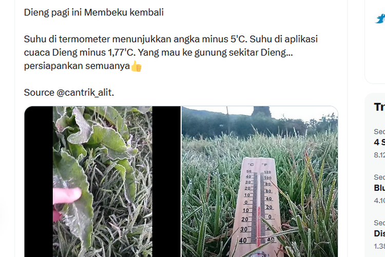 Tangkapan layar unggahan disertai video tanaman di Dieng, Jawa Tengah diselimuti embun es, viral di media sosial.