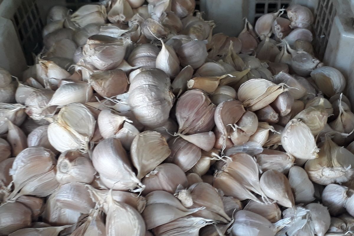 Bawang putih yang dijual di Pasar Induk Kramat Jati, Jakarta Timur, Senin (3/2/2020).