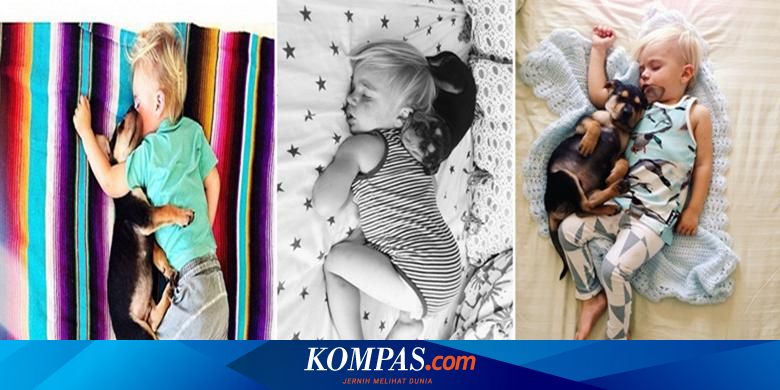 Sungguh Menggemaskan Bayi Ini Hobi Bobo Siang Bersama Anjingnya